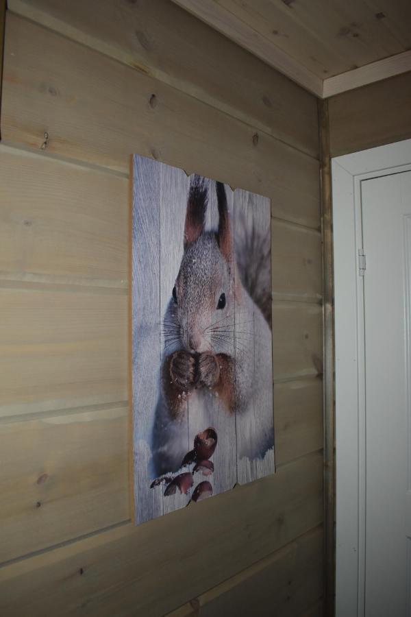 Norbel Hytte Norway ヴラダル エクステリア 写真