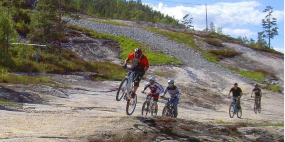 Norbel Hytte Norway ヴラダル エクステリア 写真