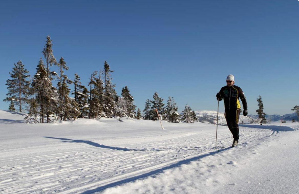 Norbel Hytte Norway ヴラダル エクステリア 写真