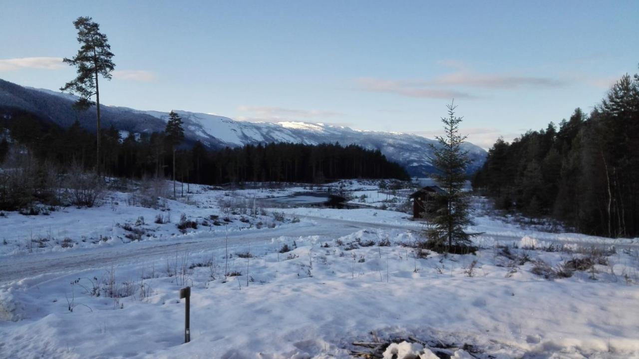 Norbel Hytte Norway ヴラダル エクステリア 写真