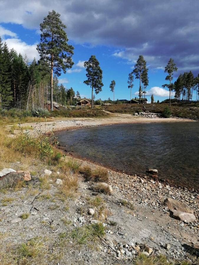 Norbel Hytte Norway ヴラダル エクステリア 写真