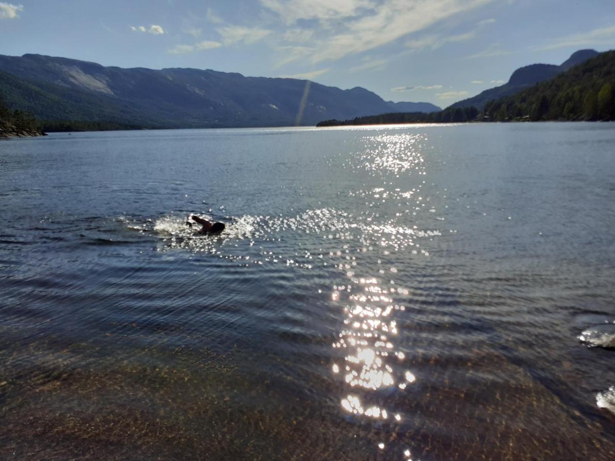 Norbel Hytte Norway ヴラダル エクステリア 写真